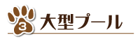 大型プールのボタン