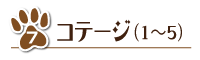 コテージのボタン1〜5