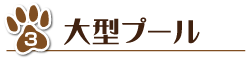 大型プール