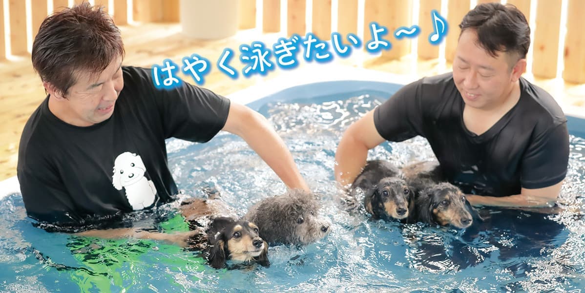 プール
